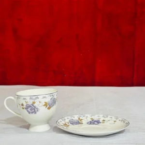 Elegant Cup and Saucer Set