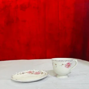 Elegant Cup and Saucer Set